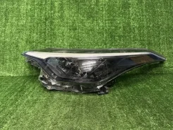 ���� Toyota C-HR 10116 NGX10, �������� ����� 10116 ����