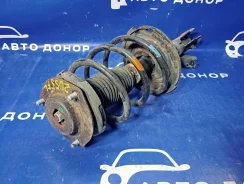 ������ Toyota Camry AVV50 2Arfxe 48520-80282, ����� �������� 4852080282 ����