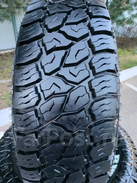 Bearway. ����� at, 2026 ���, ����� ����