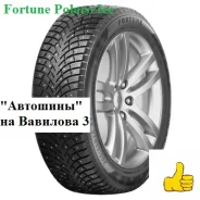 Fortune Polaro Ice. ������, ����������, 2026 ���, ����� ����