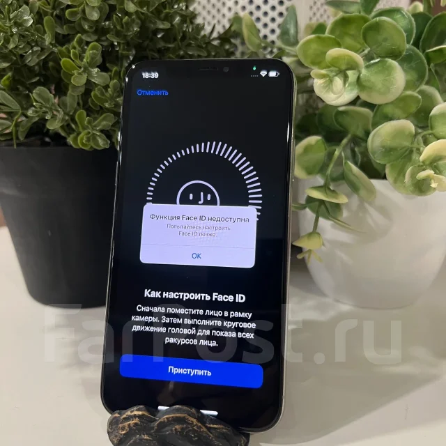 Apple iPhone X. �/�, 256 ��, �����, 3G, 4G LTE, ������� �������, ������������ ������� ����