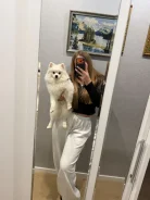 ����. ����