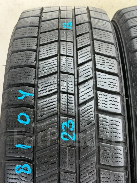 NorthTrek. ������, ��� �����, 2023 ���, �/�, ����� 10 % ����
