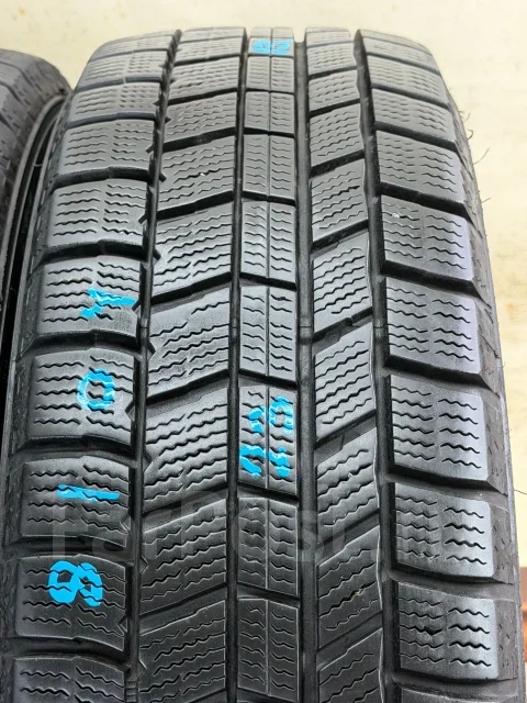 NorthTrek. ������, ��� �����, 2023 ���, �/�, ����� 10 % ����