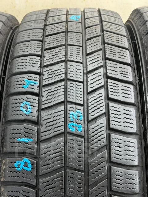 NorthTrek. ������, ��� �����, 2023 ���, �/�, ����� 10 % ����