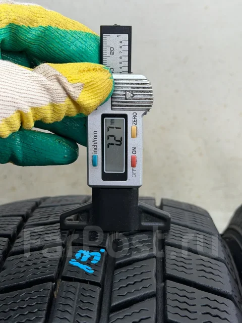 NorthTrek. ������, ��� �����, 2023 ���, �/�, ����� 10 % ����