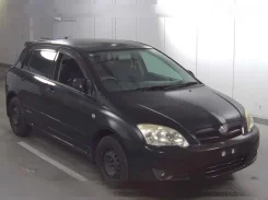 Toyota Allex. NZE124, 1NZ ����