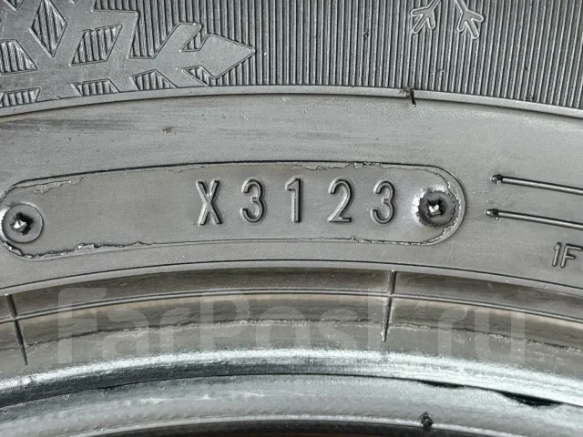 NorthTrek. ������, ��� �����, 2023 ���, �/�, ����� 10 % ����