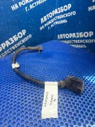 ������ ������������ ���� ������ 2008 11183724070 ����� 11183724070 ����