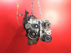 ���� ��������� Volkswagen Golf 5 2003-2009 036103101BH ������� 5 ��. BUD 1.4L 1390 ���. ��. ������ 59 ��� (80 �. �. ) 036103101BH ����