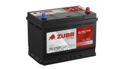 Zubr