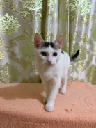 ����������� �����. ����