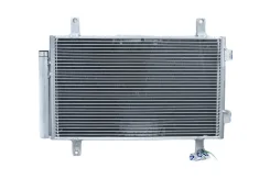 �������� ������������, Fiat Ducato 244, Peugeot Boxer 2, Citroen Jumper 2, Ricambika RAC-0042 ����