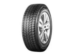 Bridgestone Blizzak DM-V1