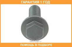 ���� M18X1,5X60 Euroricambi / 60171518 �������� 12 ��� 60171518 ����