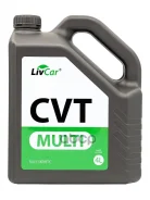 LivCar