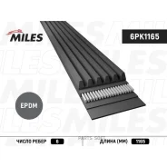 ������ ������������ 6PK1165 Miles 6PK1165 6PK1165 ����