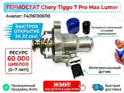 ��������� Chery Tiggo 7 Pro Max. ������ 5-7 ���. LM08212 LM08212 ����