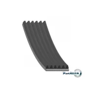 ������ ��������� Gates 6PK895 6PK895 ����