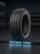 Triangle TR645. ������, 2026 ���, ����� ����