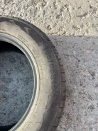 Triangle. ������, ��� �����, 2019 ���, �/�, ����� 60 % ����