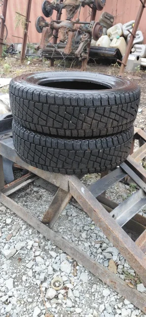 Bridgestone Blizzak MZ-01. ������, ��� �����, �/�, ����� �� 5 % ����