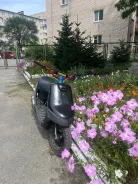 Yamaha Jog Aprio. 72����. ��., ��������, ��� ���, ������ �� �� ����
