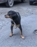 ������. ����
