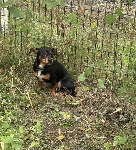 ������. ����
