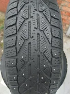 Tigar Ice. ������, ����������, 2019 ���, �/�, ����� 20 % ����