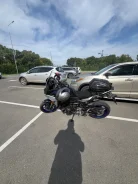 ���� ��������, �������� �� ��������� , �������� �� ����������� ����