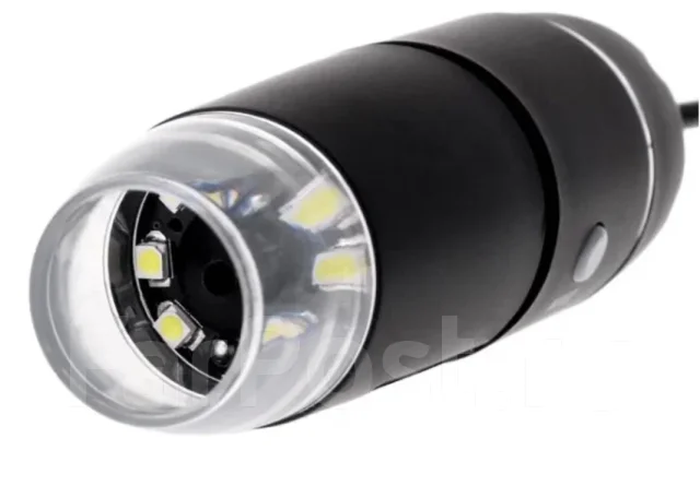 ����������. ����