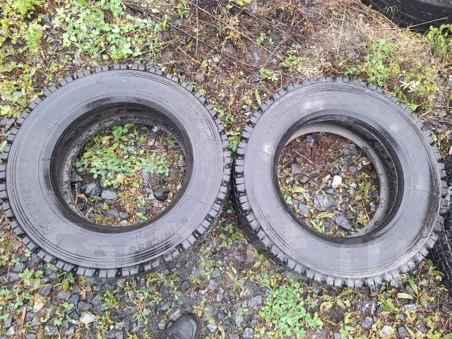 Bridgestone W970. ������, ��� �����, 2019 ���, �/�, ����� 5 % ����