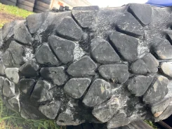 TyRex CRG O-184. ������, 2020 ���, �/�, ����� 35 % ����