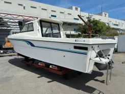 Nissan Suncat. ����� 8��., ��������� ������������, 130��.�., ������. ��� ����� �� ������������ ����