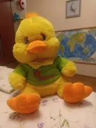 ����� ��������� ������� ������ ����