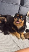 �������. ����