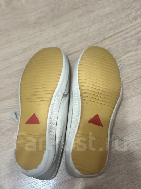 ���� , ������ 36 ����