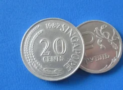 556 . �������� . 20 ������ 1982 � . . ����