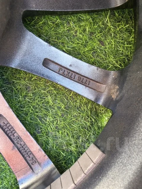 Grass
