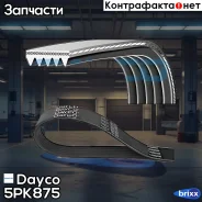 ������ ������������ Dayco ���. 5PK875 5PK875 ����