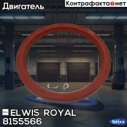 ������� ��������� ������ Elwis Royal ���. 8155566 8155566 ����