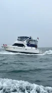 Bayliner. 1997 ���, ����� 14��., ��������� ������������, 560��.�., ������ ����