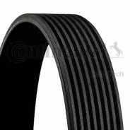 ������ ������������ Contitech 8PK1815 Contitech 8PK1815 8PK1815 ����