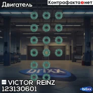 �������� ������������ ��������� Victor Reinz ���. 123130601 123130601 ����