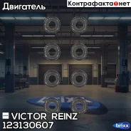 �������� ����. ����. ��������� (8��) Victor Reinz ���. 12-31306-07 123130607 ����