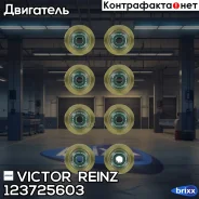 �������� ����. ����. ��������� Victor Reinz ���. 12-37256-03 123725603 ����