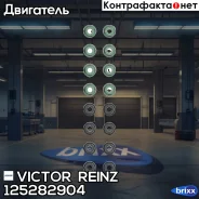 �������� ��������� �������� Victor Reinz ���. 125282904 125282904 ����