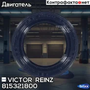 ������� �����. ���� �����. (25.5x37.5x6) Victor Reinz ���. 81-53218-00 815321800 ����