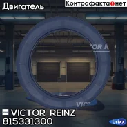 ������� ����������� ���� Victor Reinz ���. 81-53313-00 815331300 ����